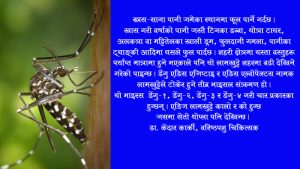 ऐतीहासीक पृष्ठभुमी : डेङ्गी भाइरसका लक्षण तथा यसबाट बच्ने उपाय