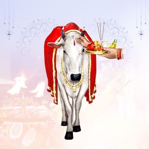 नेपालमा तिहार पर्वको समयमा गाई पूजा गर्ने परम्परा र सामाजिक व्यवस्थामा गाई र मानिसको सम्बन्ध -डा. केदार कार्की