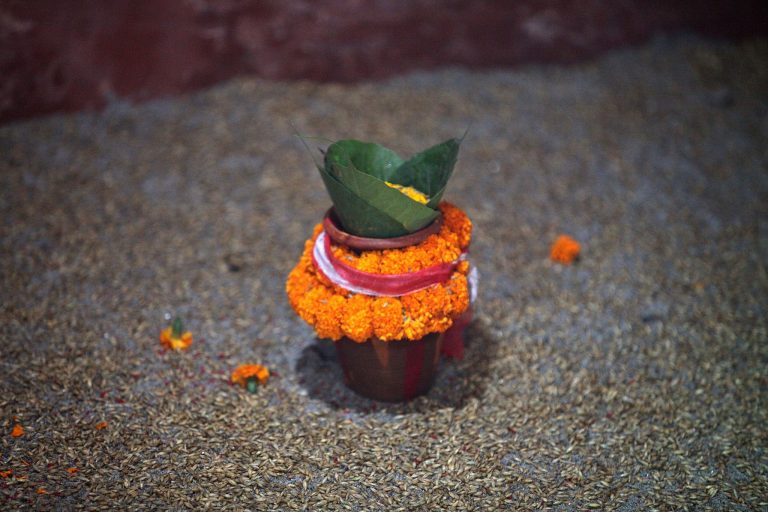 घटस्थापनामा जमरा किन राखिन्छ ? घटस्थापनामा जमरा किन राखिन्छ ? यस्तो छ धार्मिक महत्त्व र परम्परा