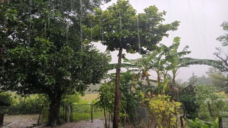 गण्डकी र कर्णालीमा हावाहुरीसहित भारी वर्षा